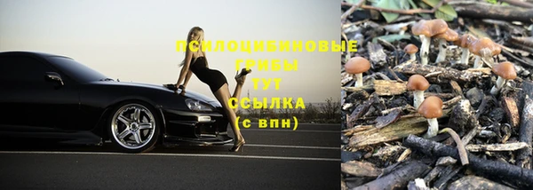 метадон Инсар